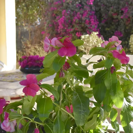 Lm A 2 Min A Piedi Dal Mare Holiday home